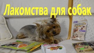 Лакомства для собак. Йорки Мишель и Моника