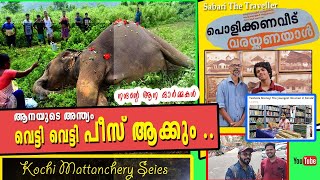 MATTANCHERY  | Elephant cremation in Kerala | FORT KOCHI |MATTANCHERY VLOG