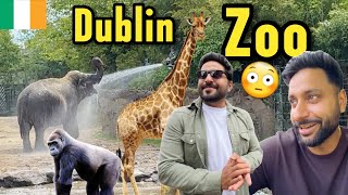 DUBLIN ZOO Agye😱 Elephant, Zebra, Giraffe, Tiger, etc