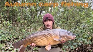 Autumn carp fishing || Day session || tips