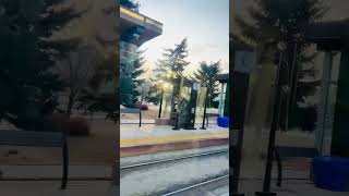 Edmonton Morning Timing 🍁 #viral #shorts #subscribe #short #shortvideo #1314canada #like #subscribe