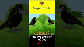 kalu ku hela prema || odia gapa || tiki chadhei gapa || odia cartoon || odia moral story