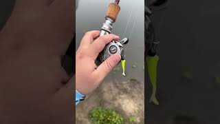 Fisherman catches the unexpected on ultralight!