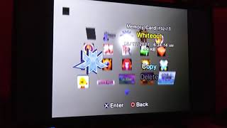 Whiteout PS2 Save Icon