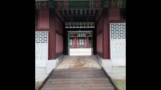 Changgyeonggung Palace 창경궁  #2024 #seoul #Korea #republicofkorea #southernkorea #southkorea