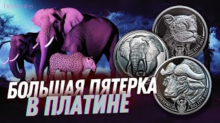 🔵 Три факта, которые делают монеты из платины привлекательными для инвестиций и в коллекцию