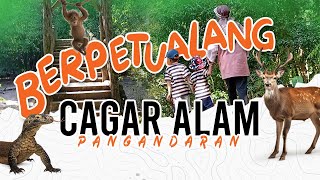 BERPETUALANG DI CAGAR ALAM PANGANDARAN