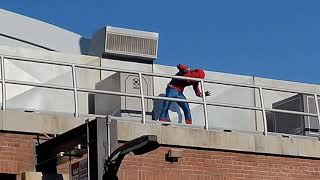 Spider-Man Stunt Show at Avengers Campus DCA (7-18-21)