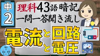 【中2理科一問一答④】電流と回路・電圧・抵抗／聞き流し／図解あり