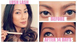 HOW I GREW MY LASHES (NATURALLY!)