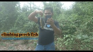 Fishing In The Forest Part 3