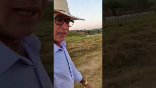 segunda feira hoje, vem comigo amigos 🤠#agro #gado #pecuaria #agricultura #vidanaroça