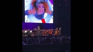 The Voice of Whitney: A Symphonic Celebration at Ravinia - August 30, 2024 (How Will I Know)