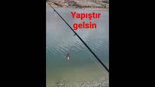 gelmeye başladı