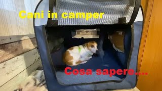 Cani in camper, cosa sapere