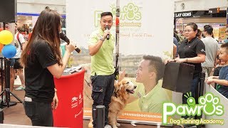 Singapore Pet Week (2019) with Kevin Yeo, Chief Trainer - Pawrus Dog Training Academy