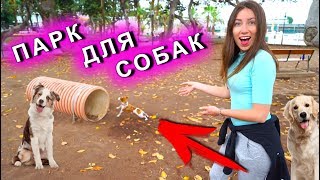 ПАРК ДЛЯ СОБАК ПЕРВАЯ РЕАКЦИЯ Собаки Джины Канары | Elli Di Pets