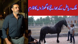 TM Farm | Malik Nasir | Interview | Horse Tales.