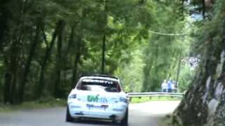 43° Rally Del Friuli e Delle Alpi Orientali 2007