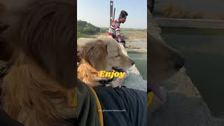 Mini Mili Vlog #16 #minivlog #marathi #goldenretriever #youtubeshorts #dog #shortvideo #dogtraining