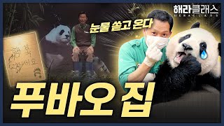 푸바오 기념관에도? 수원화성에도? 미디어아트 또 당신입니까 | 바오하우스 | 모나용평 | 해라클래스