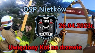 Uwięziony kot na drzewie [OSP NIETKÓW] [Helmet Cam]