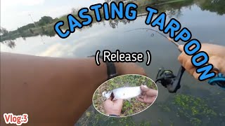 CASTING TARPOON (  release ) Vlog.3