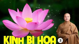 Đại Bi Liên Hoa Kinh phần 3 🙏 thầy Thích Pháp Hòa giảng giải