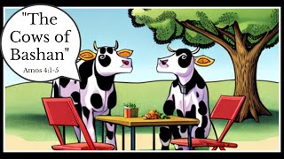 The Cows of Bashan