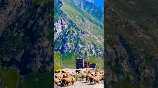 Jammu_kashmir #viral #trending #travel #viralvideo #viralshort #nepal_tour #emiwaybantai #shorts