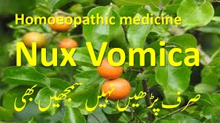 Nux vomica homeopathic medicine for treatment of digestive issues #homeopathictreatment