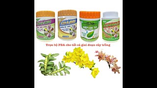 Bộ Phân Bón Lá FDA Cho Tất Cả Giai Đoạn ,Bật Chồi Dưỡng Rễ 0967 863 963