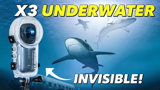 The BEST Insta360 X3 Underwater Settings & Accessories