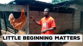 Start today with what you have|Chicken farming.