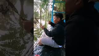 Senar sampai pedot II Mancing di Palembang #shorts