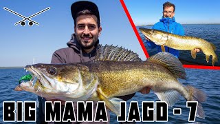 NICHT Nachmachen ⚠️ Fetter Hecht mit der HAND gefangen 😱 //  Big Mama Jagd - Vol. 7