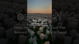 واصبر فان الله لايضيع اجر المحسنين ✨🤍 القارئ اسلام صبحي 🌧🌿سورة هود 🌸💗