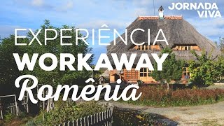 Construindo casas orgânicas na Transilvânia - Depoimento do host - Workaway  - Jornada Viva