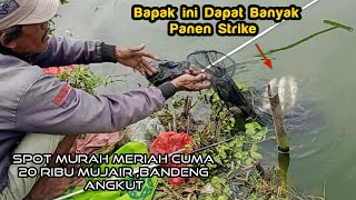 Ga ada lawan...!! Bapak ini Dapat banyak,Mancing Marunda terbaru Empang Bang Mustakim