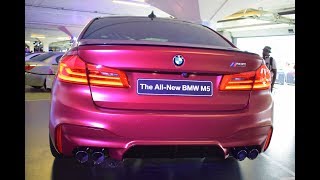 FIRST EVER! BMW M Festival In South Africa [Highlights]