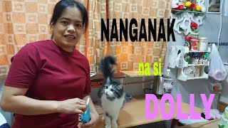 NANGANAK na si DOLLY | HELLO  whitey and sophia |Che Lagang