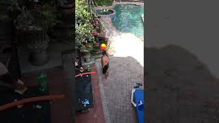 SUPER SLOW MOTION WATER BALLOON FILLED WITH ORANGE SODA HEADSHOT INSANE ACCURACY #Shorts