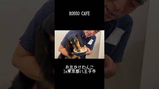 ROSSO CAFE行ってきたよ～🐕🐕🐾東京都八王子市#shorts#八王子#犬とお出かけ