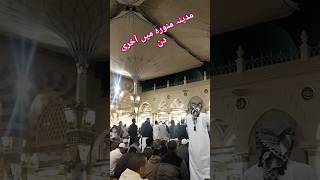 Masha-Allah Masjid e Nabwi ke Bahar #madina #shortvideo #dailyvideo #ytshorts #subscribe