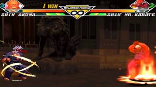 Shin Akuma Vs Shin Mr. Karate