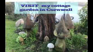 COTTAGE  GARDEN PLANTS  In Cornwall  greenhouse in  AUTUMN #cottasgegarden #plantsincornwall