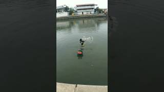 Nang Laya Sa Syudad #fishing #shortsvideo #viral #cebucity