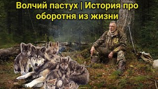 Волчий пастух | Истории про оборотней из жизни