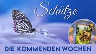 Schütze ♐️ Oktober 👉 Das Blatt wendet sich