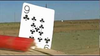 Ruger 10/22 Trick Shot Thru a  ShotGun Shell Then Splil  a Card with the Next Shot